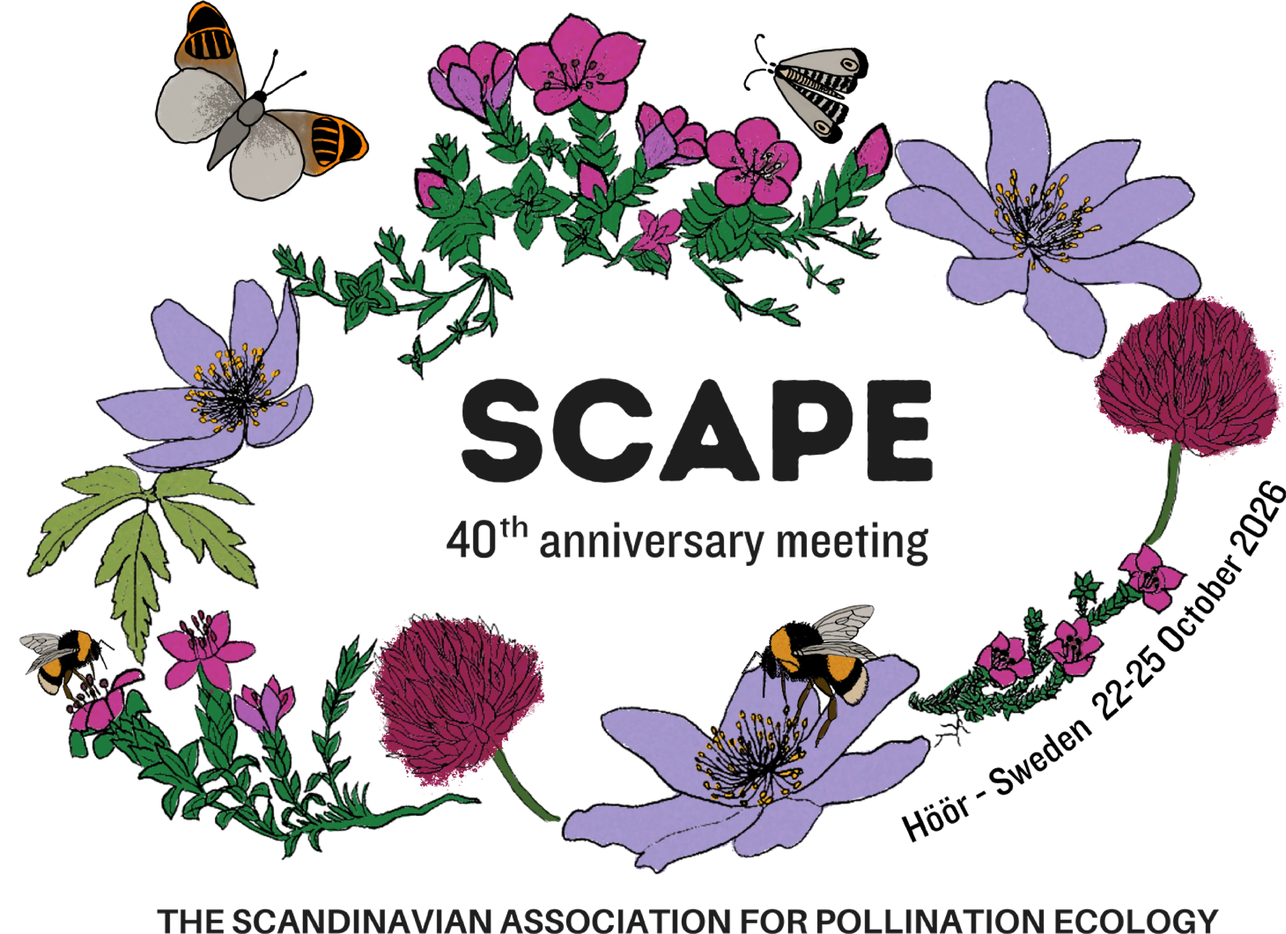 SCAPE_2026