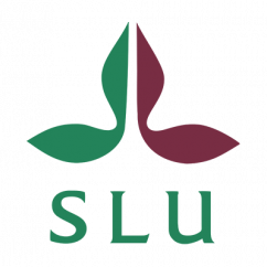 SLU_transparent